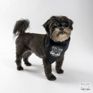 Animal Saints Scarf in Classic Black