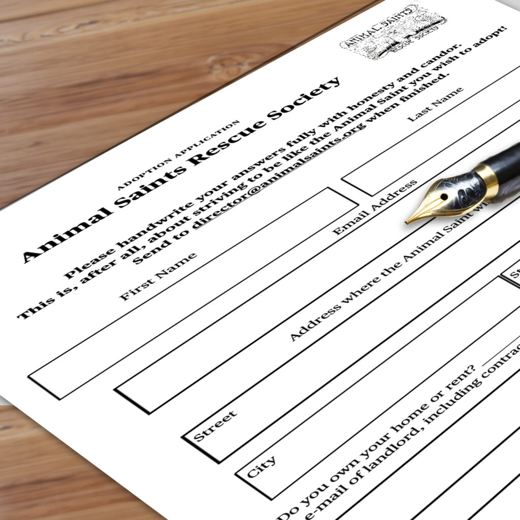 apply to adopt from Animal Saints Rescue Society